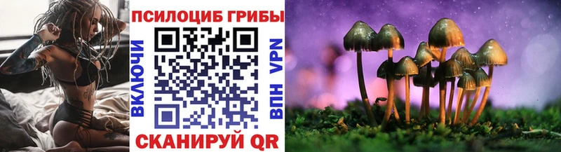 Псилоцибиновые грибы прущие грибы  darknet формула  Чадан  даркнет сайт 